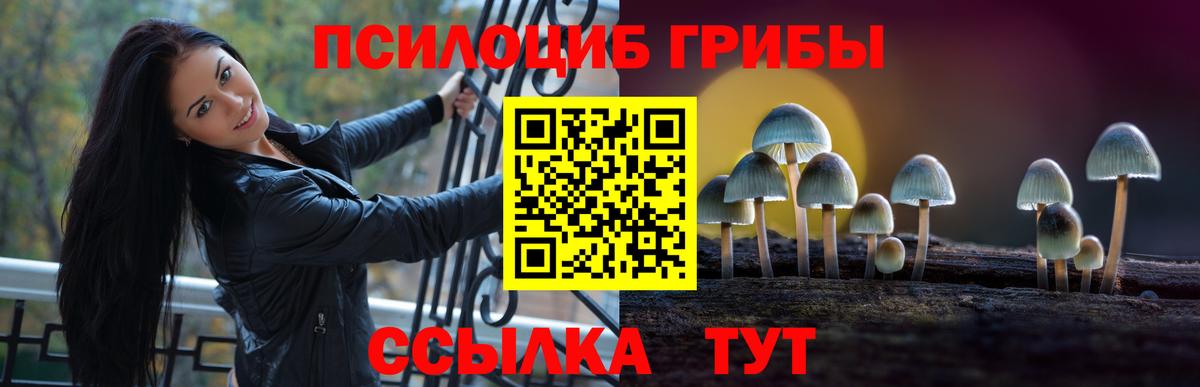 Галлюциногенные грибы ЛСД  Псилоцибиновые грибы Psilocybe  Вход с VPN  Нальчик 